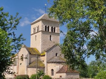 Tour Wandern Bissy-sous-Uxelles - bissysous uxelles - Photo