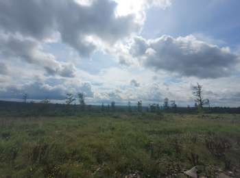 Trail Walking Gedinne - rando croix scaille 8-08-2023 - Photo