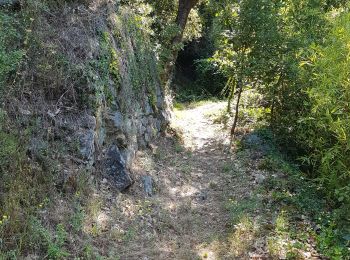 Randonnée Marche Saint-Jean-du-Gard - St jean du Gard - grotte de Rouville - Photo