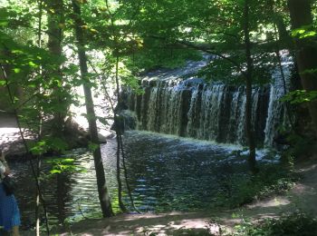 Trail Walking Senlisse - Les Vaux de Cernay  - Photo