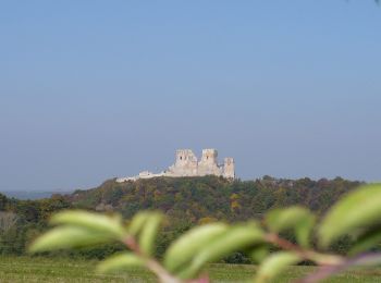 Tour Zu Fuß Zeßnegg - P+ - Photo