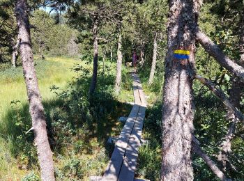 Randonnée Marche Chapelle-des-Bois - Le tour du lac des mortes. - Photo