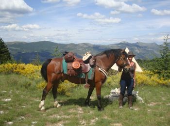 Trail Horseback riding Saint-Étienne-les-Orgues - Les Granges - Notre Dames de Lure - Photo