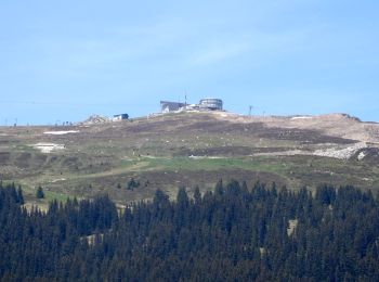 Tour Zu Fuß Ilanz/Glion - Siat - Ruschein - Ladir - Photo