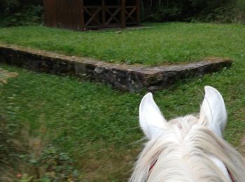 Tocht Paardrijden Métairies-Saint-Quirin - rond pré baronnie kiosque point de vue  - Photo