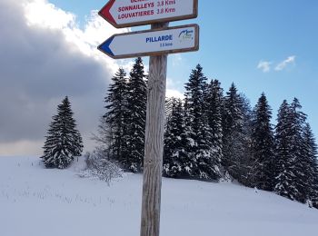 Trail Cross-country skiing Gex - Sonnaillyais - Photo