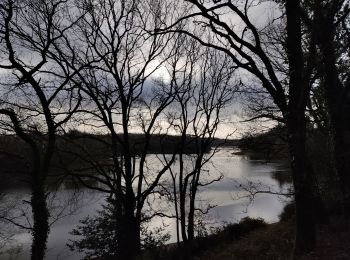 Tocht Stappen Saint-Vincent-sur-Graon - St Vincent sur Graon - Photo