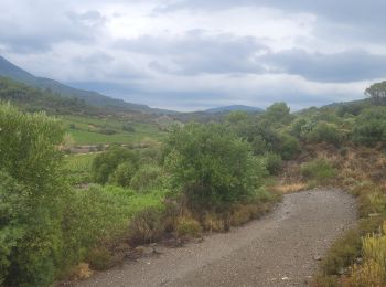 Excursión Senderismo Tuchan - touchant château d'Alguilar - Photo