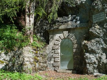 Tour Zu Fuß Unbekannt - Sebastian-Kandler-Trail - Photo