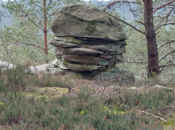 Tour Wandern Arbonne-la-Forêt - Chanfroy #7 var - Photo