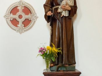 Tour Zu Fuß Sankt Michael im Lungau - Wanderweg 94, Speyereck - Bergwanderung - Photo