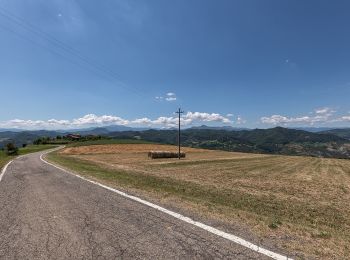 Randonnée A pied Canossa - Vedriano - La Strada - M. Staffola - Braglie - Costa - Photo