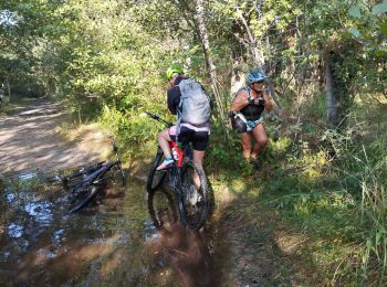 Percorso Mountainbike Sainte-Eulalie-en-Born - ste Eulalie  - Photo