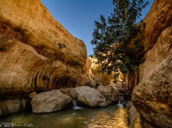 Excursión A pie מועצה אזורית תמר - IL-11003 - Photo