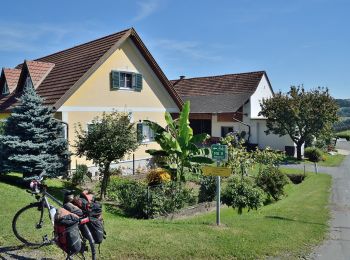 Percorso A piedi Klöch - Klöcher Traminerweg - Photo