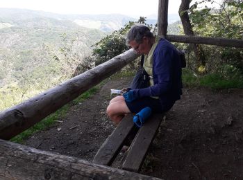 Tour Wandern Altenahr - altenahr-steinbergerhaus - Photo