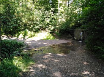 Trail Walking Seraing - boncelles, château de plaineveaux +village  - Photo