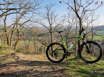 Trail Mountain bike Le Hom - Les_Trois_Châteaux - Photo