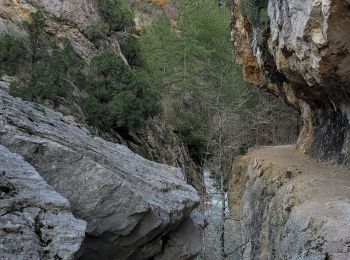 Randonnée Marche Estoublon - estoublon sentier des oliviers gorges trevans 21k 950m  - Photo