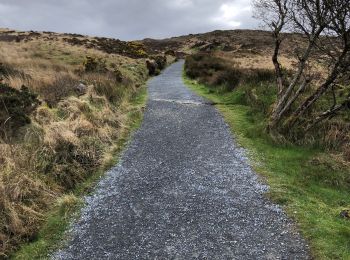 Trail Walking Conamara Municipal District - Connemara national park - Photo