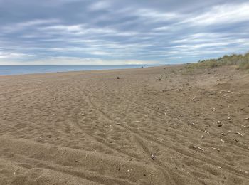 Trail Running Agde - Les marais-Marseillan(30K 80D+) - Photo