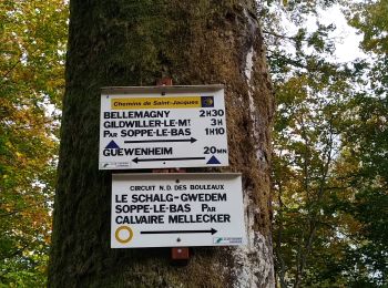 Tour Wandern Sentheim - Ronde d'automne - Photo