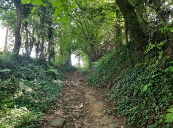 Trail Walking Blegny - autour de blegny  - Photo