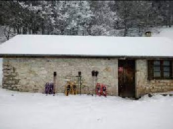 Tour Schneeschuhwandern Bouvante - 2019-01-23 grobache  raquette - Photo
