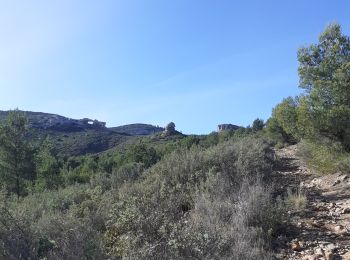 Trail Walking La Ciotat - la Ciotat grotte Fardeloup - Photo