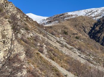 Tocht Sneeuwschoenen Saint-Dalmas-le-Selvage - Tête de Vinaigre  - Photo