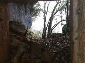 Trail Walking Creissels - cave fromagere issis  - Photo