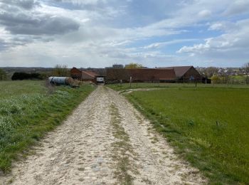 Randonnée Marche Berchem-Sainte-Agathe - Tour ferme 1700 -7,6 km - Photo