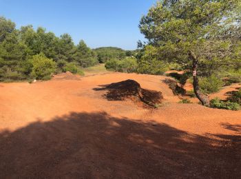 Tocht Mountainbike Agde - Vtt pomerols Castelnau de Gers - Photo