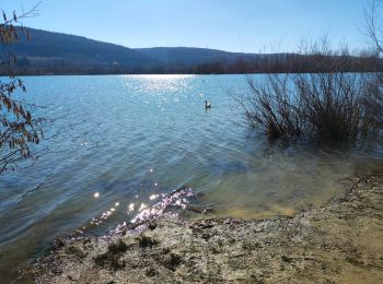 Tocht Stappen Amay - Le Lac de la Gravière   - Photo