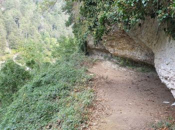 Randonnée A pied Caramanico Terme - San Nicolao - Vivaio Santa Croce - Photo