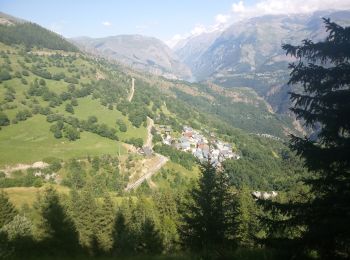 Trail Walking Auris - sentier des bûcherons Auris station  - Photo