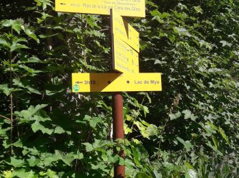 Trail Walking Bourg-Saint-Maurice - les Chapieux, refuge de la croix du bonhomme et crête  - Photo