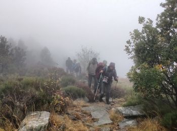 Trail Walking Aizac - Aizac-Sommet de Rouyon-La bastide sur Bésorgue - Photo