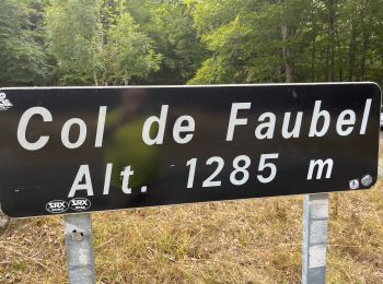 Percorso Marcia Saint-Sauveur-Camprieu - Col du FAUBEL le Puey Barbut - Photo