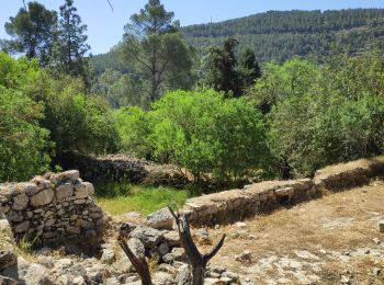 Tour Zu Fuß Regionalverwaltung Mateh Jehuda - נחל רפאים תחתון - Photo