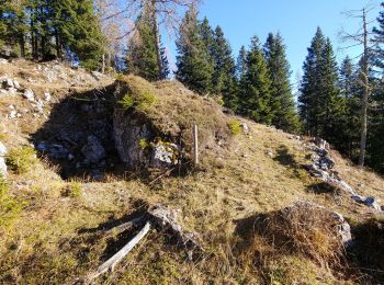 Randonnée A pied Lozzo di Cadore - Anello dei Forti - Photo