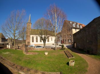 Randonnée A pied La Petite-Pierre - Losange jaune - Photo