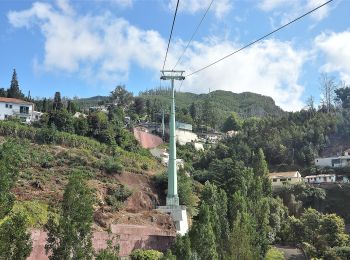 Trail On foot Funchal (Santa Maria Maior) - Levada do Bom Sucesso - Photo