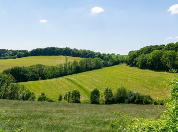 Randonnée A pied Höxter - Lütmarsen Rundweg LM6 - Photo