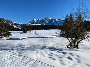 Randonnée Raquettes à neige Vaulnaveys-le-Haut - Lac Achard - Photo
