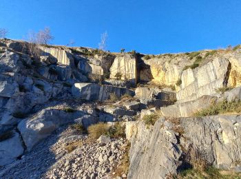 Trail Walking Balacet - Col de l'Arraing - Photo