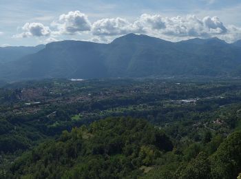 Trail On foot Fosciandora - IT-22 - Photo