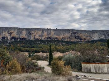 Randonnée Marche Lioux - Combes de Vaumale et Lioux  - Photo