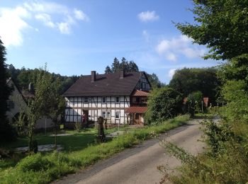 Randonnée A pied Wolfhagen - Hasenmühle, Rundweg 3 - Photo