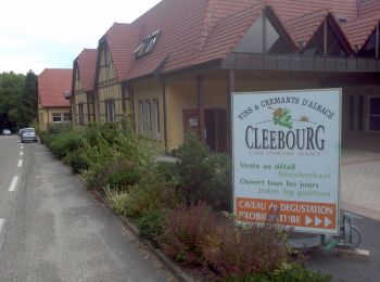 Tocht Te voet Wissembourg - Disque vert - Photo